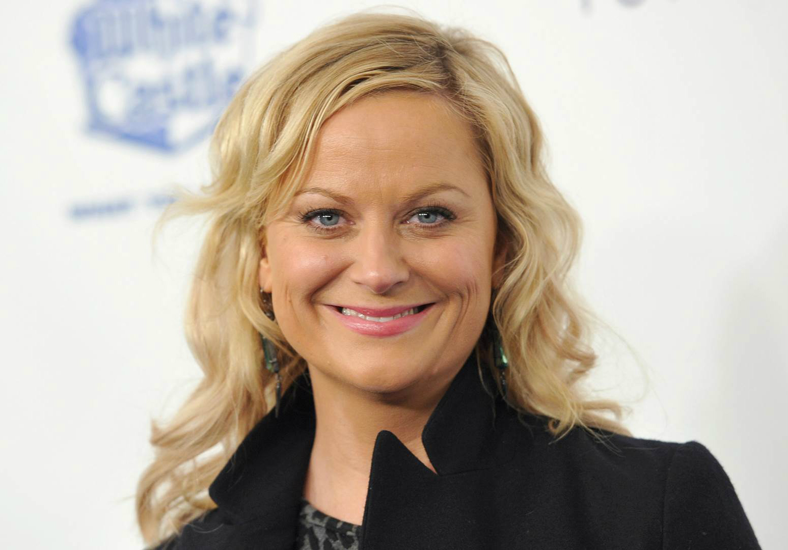 Amy Poehler Fake