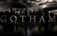 Gotham Excerpt