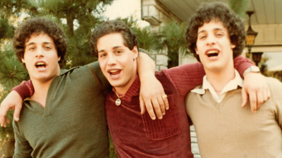 Three Identical Strangers Review